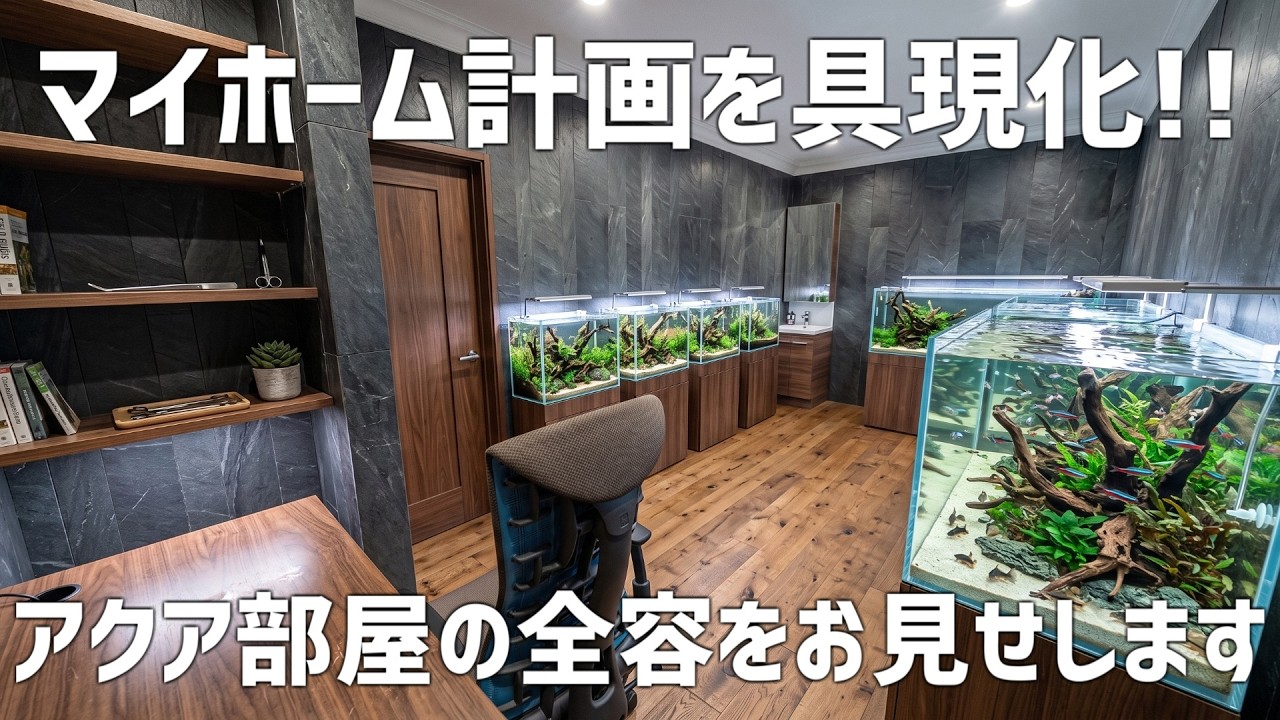 A grand tour of my new home! Let me show you around the aquarium