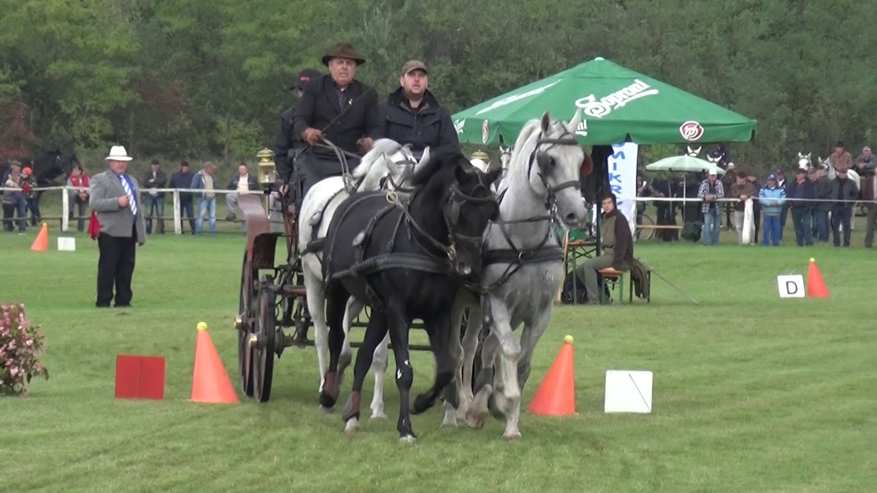 Bárdos György (ex Gyöngyösi LE), 