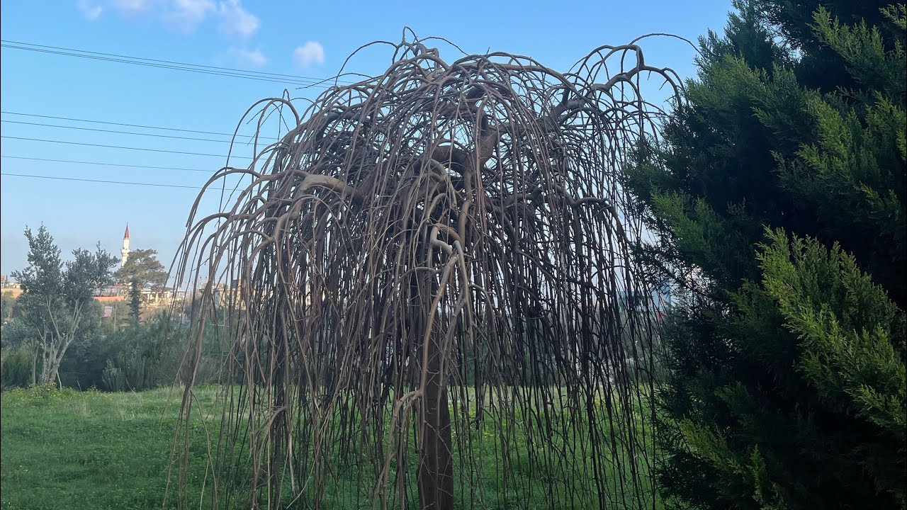 BİR GÜNLÜK VLOG | #youtube #vlogs #ramadan #iftar #takip #aboneol #subscribe #vlogging #vlogger #ev 