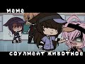 —Соулмейт животное 🥺💞/меме/ЕгорЧик:)