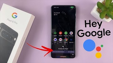 Google Pixel 8 / Pixel 8 Pro: How To Enable and Set Up 