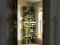 Five Nature Inspired Home Hacks That Actually Work