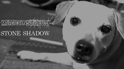 Stone Shadow // MCST (Official Video)