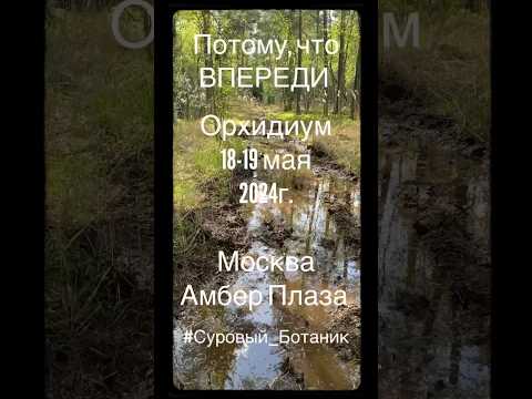 Только вперед! Ни шагу назад! #Орхидиум #Призы #Суровый_Ботаник