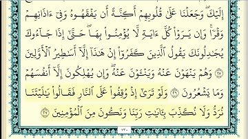 قران كريم سورة الانعام بصوت الشيخ ياسر سلامه .مكتوبه