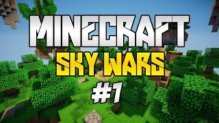 VIMEWORLD SKYWARS VS HUNGERGAMES - #1