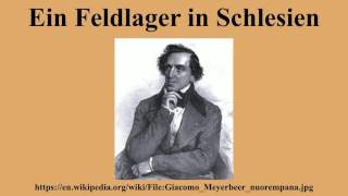 Ein Feldlager in Schlesien screenshot 5