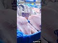 🛒 ХАРЬКОВ ~ ЧТО У НАС С ЦЕНАМИ? ~ КОННЫЙ РЫНОК ~ KHARKIV ~ WHAT'S UP WITH OUR PRICES? ~ HORSE MARKET