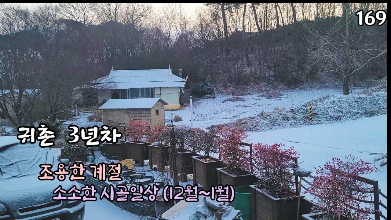 😄귀촌/ 겨울일상/오일장~