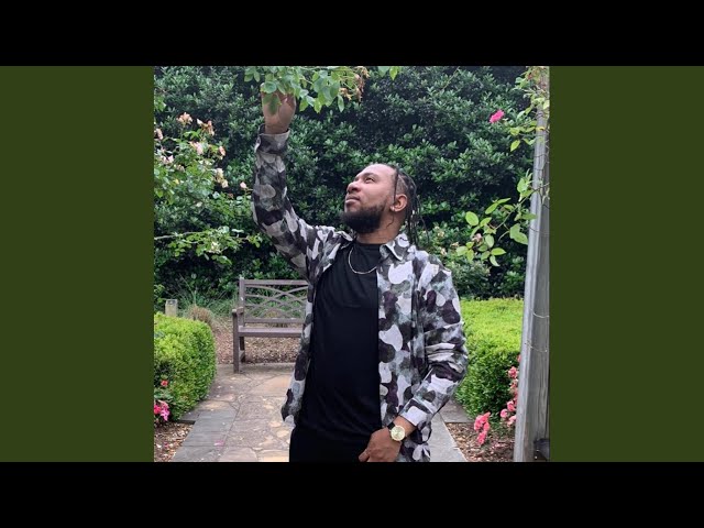 No More Drama Freestyle