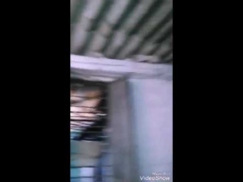 camera iphone 8 plus apk Wolf snake