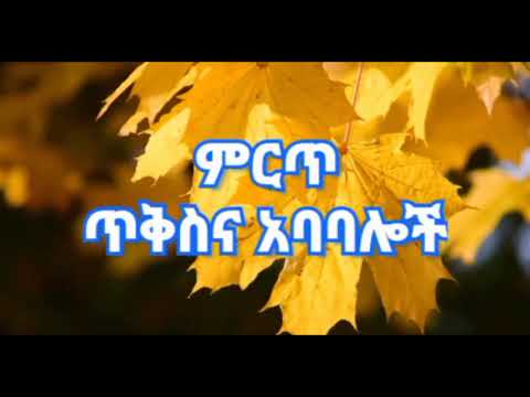 ቪዲዮ: ታዋቂ የራስ ፎቶ መተግበሪያዎች በስማርትፎን ላይ