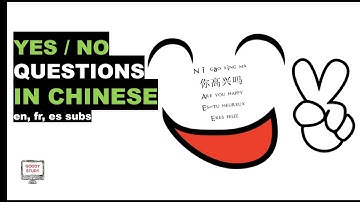 YES / NO questions in Chinese (en,fr,es subs)