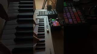 Momento Sonoro 21 (Arturia Keystep MKII, Empress ZOIA & Roland SP404 MKII)