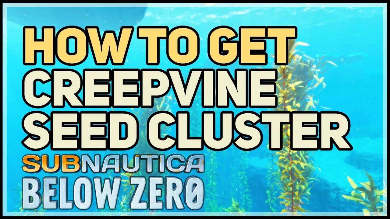 How to get Creepvine Seed Cluster Subnautica Below Zero