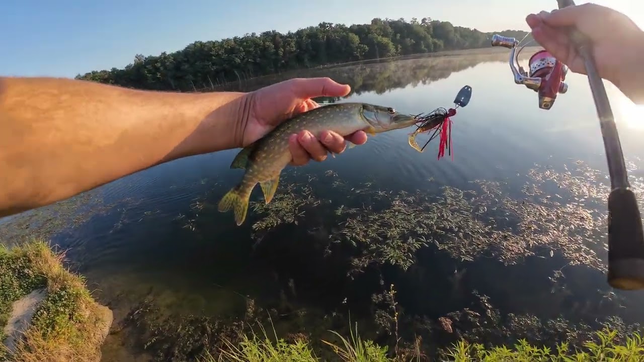 Težak ljetni ribolov basa/Tough summer bass fishing