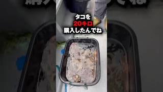 タコ20キロ分を一気に放流します！未来のタコの為に🔥 #short #shorts