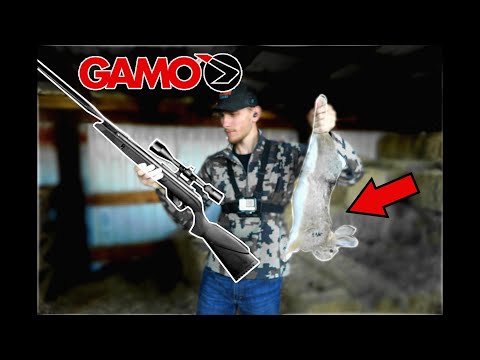 GAMO Wasp Maxxim Rabbit Air Gun Hunting 1300 Fps CATCH COOK Game Animals From Long Distances