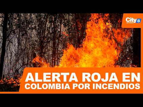 Environmental emergency due to forest fires and IDEAM alert in Colombia | CityTv