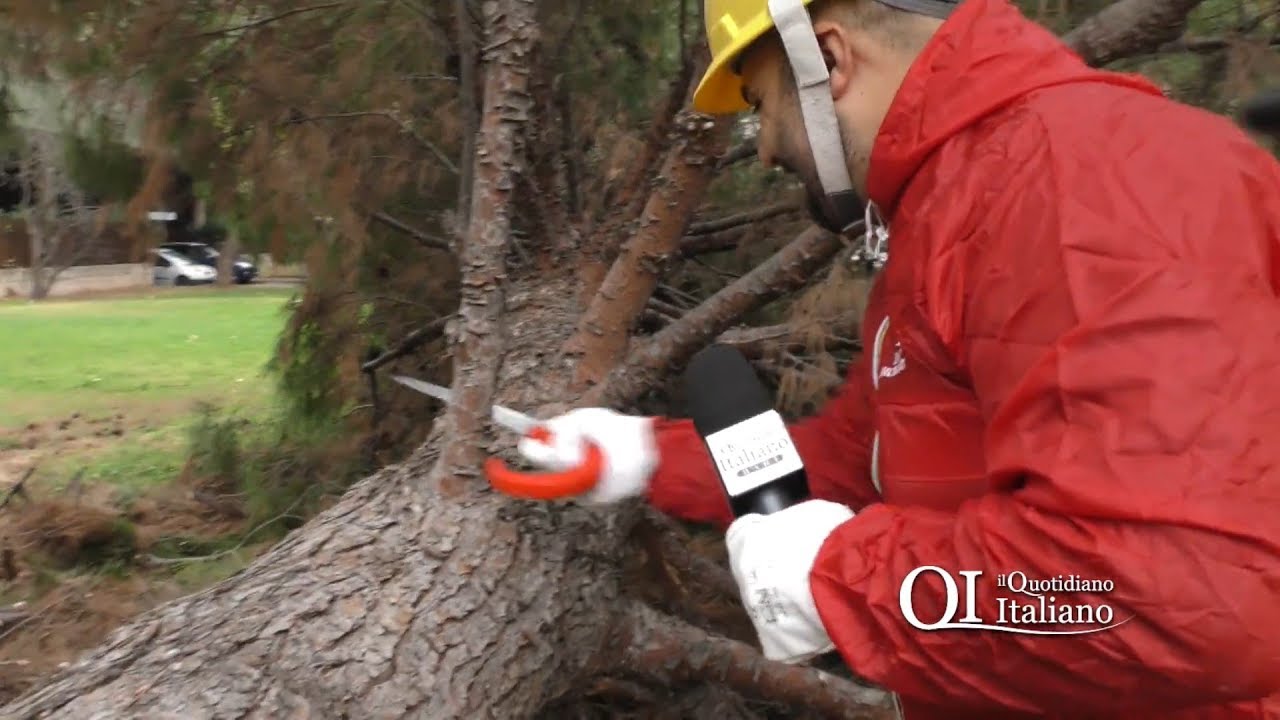 Bari, pochi giardinieri nella graduatoria Multiservizi: Loconte è idoneo