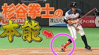 【何かが起きる! 】杉谷拳士『本能』おさえて2出塁