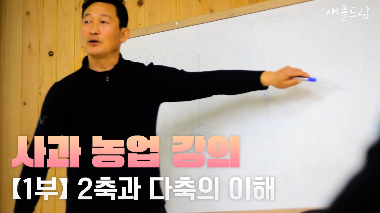 【사과농업강의】 1부 l 사과 2축과 다축의 이해 【사과 마이스터 김병철】