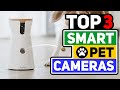 Best Smart Pet Camera Picks in 2021 