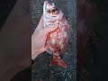 Pagre éclatant pris à l’aube 🎣🌅 — Beauté naturelle !