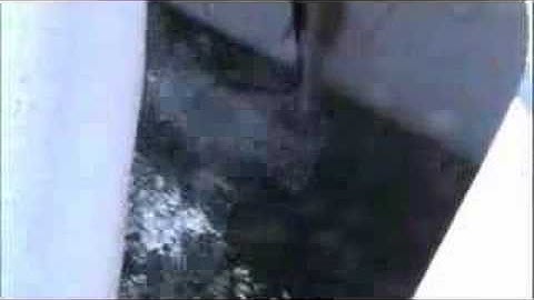 Biosonics DTX on Gato Verde