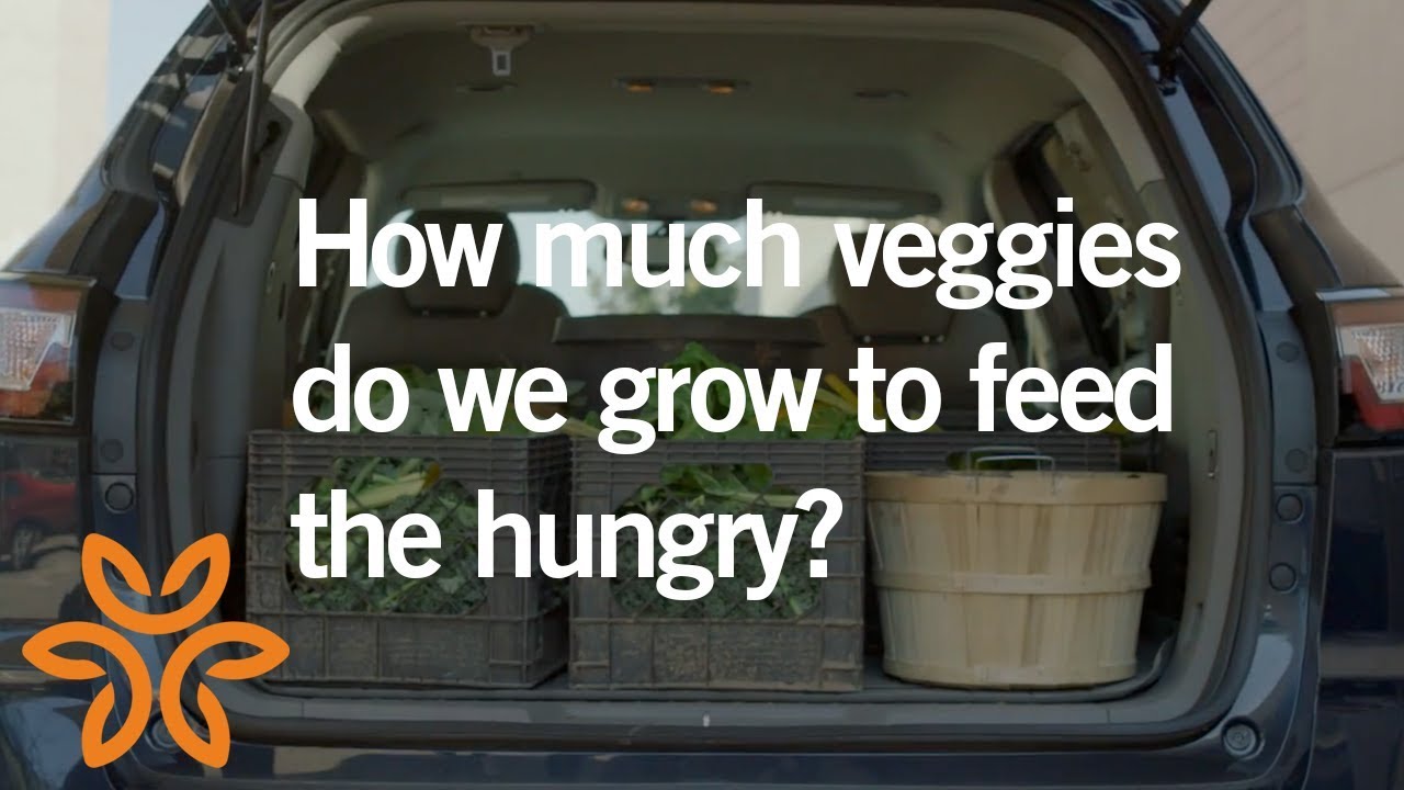 National Volunteer Week | Hello humankindness