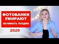 Поздно ли начинать работать на фотобанках в 2020 году