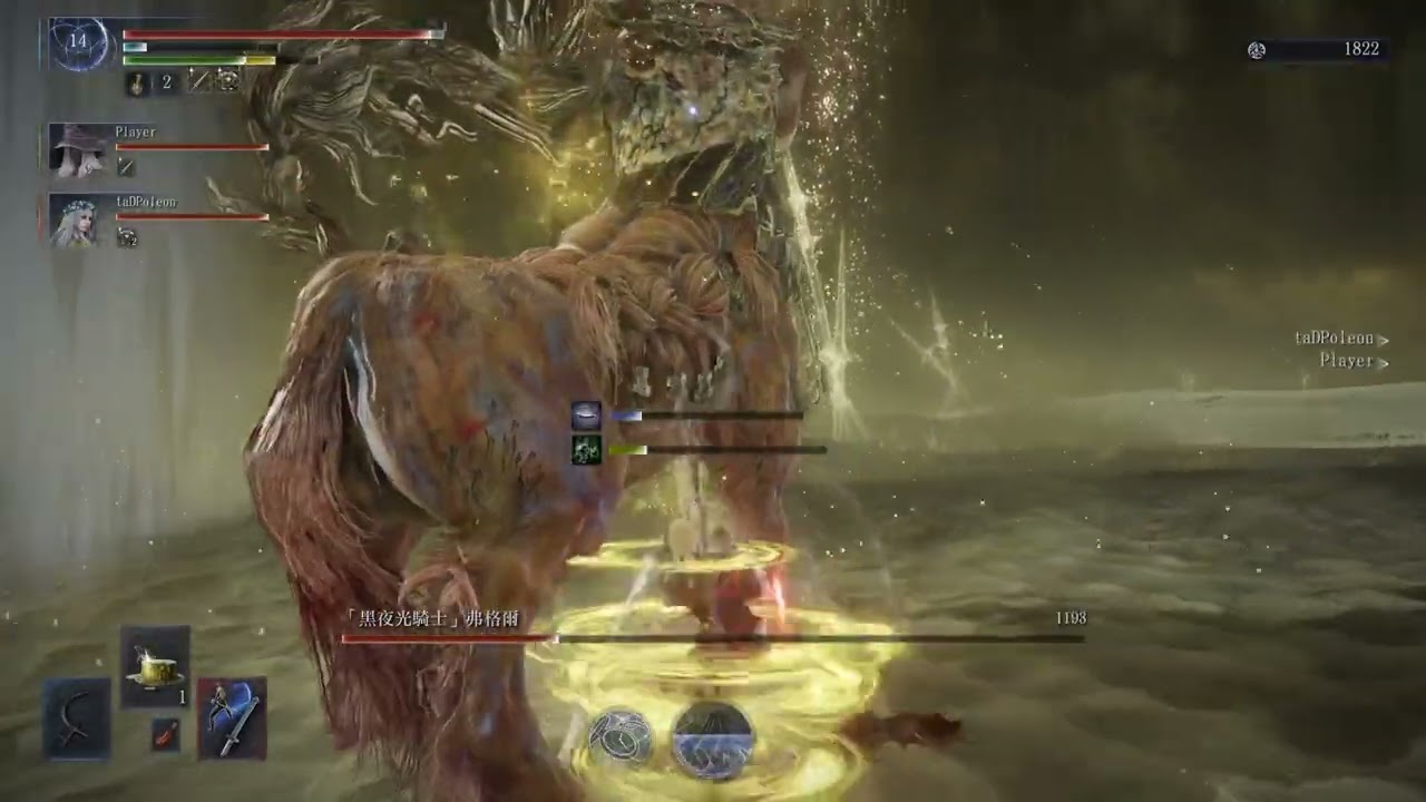 黑夜君臨 深夜 深度2 黑夜光騎士 野團 女爵 Lv.14 名刀月隱 攻擊 209 & 雷電軟鞭 攻擊 118 PS5 20260216