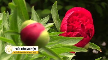 Phút Cầu Nguyện, Thứ Sáu 24/01/2020: Mọi Thời Khắc Của Cuộc Đời Đều Rất Đẹp