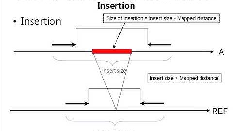 Structural Variation
