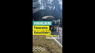 Vorarlberg - Panorama-Kutschfahrt  #shorts