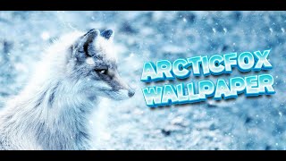 arctic fox wallpaper #snowfox screenshot 1