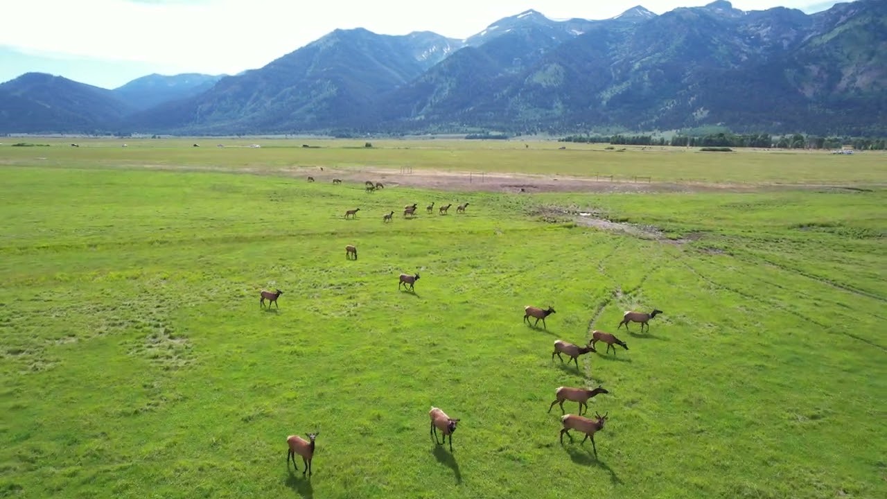Yellowstone Family Trip 9