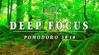 3HOURS Forest Ambient STUDY Background to CONCENTRATEDEEP FOCUS POMODORO TIMER to Concentration