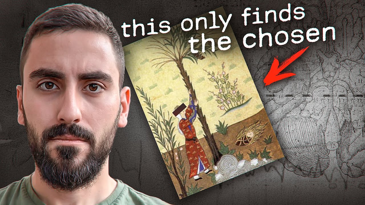 If You’re Seeing This, Allah Has Chosen You – Your Struggles End Now & Rizq Will Flow Instantly