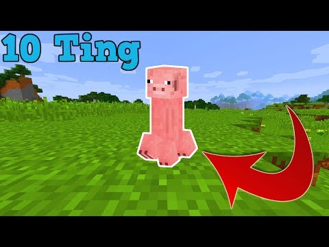 10 Ting Du Ikke Vidste Om GRISE I Minecraft