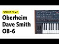 Oberheim Dave Smith OB-6 Sound Demo (no talking)