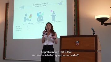 Three Minute Thesis (3MT) Winner 2025