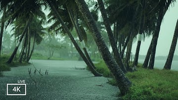 Rain and Thunder Sounds for  Relaxation| Thunderstorm Sound Effect with Rain | ASMR Sounds - No Ads
