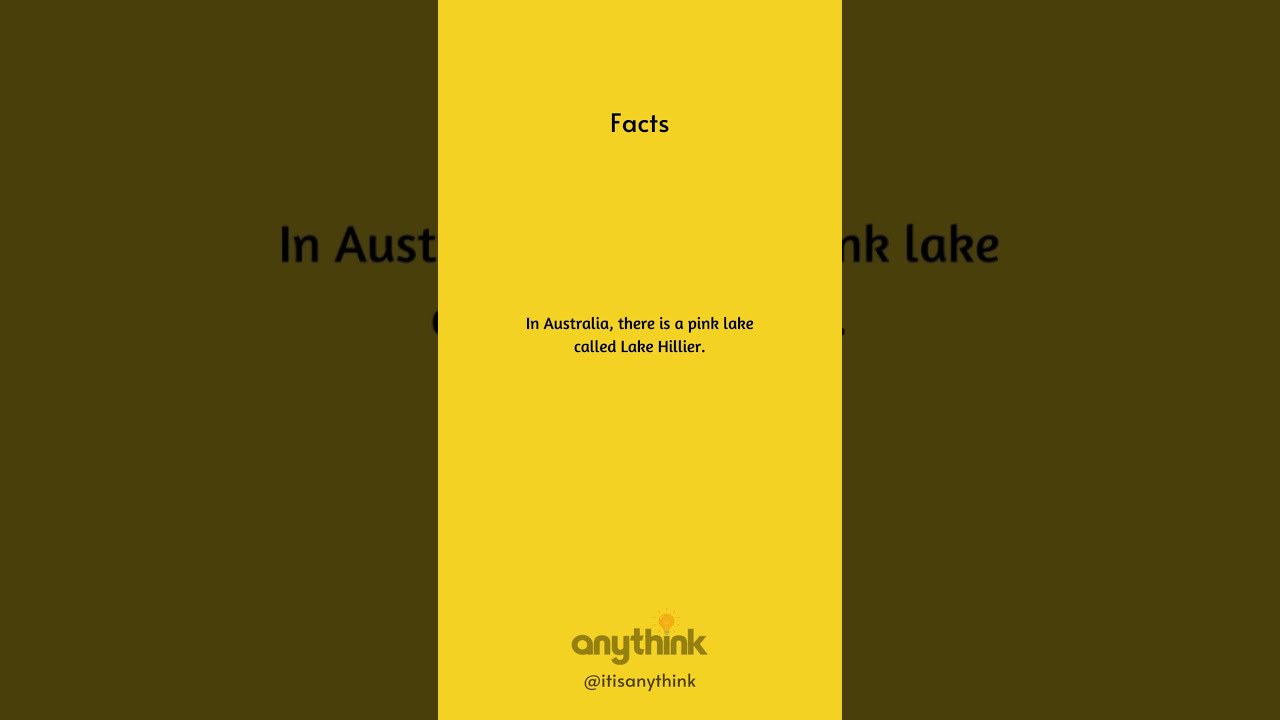Fact File Bite Sized Knowledge Nuggets Anythink Itisanythink