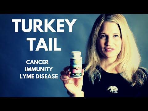 Turkey Tail, the Antiviral, Cancer Fighting, Immune Boosting Medicinal Mushroom - Earth Clinic