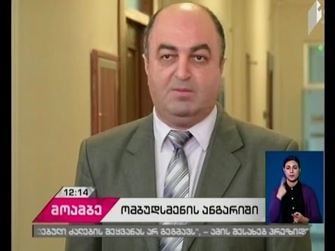 ადამიანის უფლებათა დაცვის კომიტეტში  სახალხო დამცველის ანგარიშის მოსმენა განახლდა