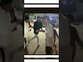 Gujarati garba/night garba/hinch gujarati garba