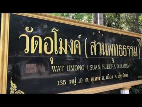 พาเดินชม “วัดอุโมงค์” (สวนพุทธธรรม) ไม่ไกลจากตัวเมืองเชียงใหม่