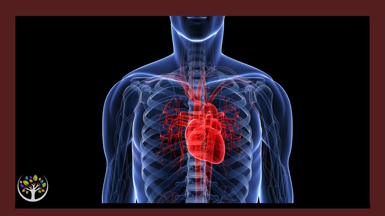 Can Congestive Heart Disease Be Reversed Can Congestive Heart Disease Be Reversed