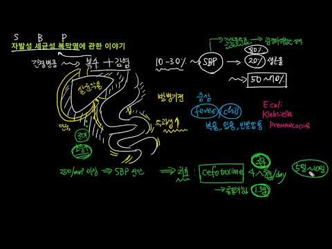 간경변증의 합병증 - 자발성 세균성 복막염 (Spontaneous Bacterial Peritonitis)에 관한 이야기